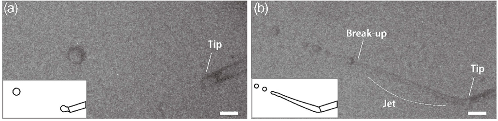 Micromachines 06 01436 g002 1024