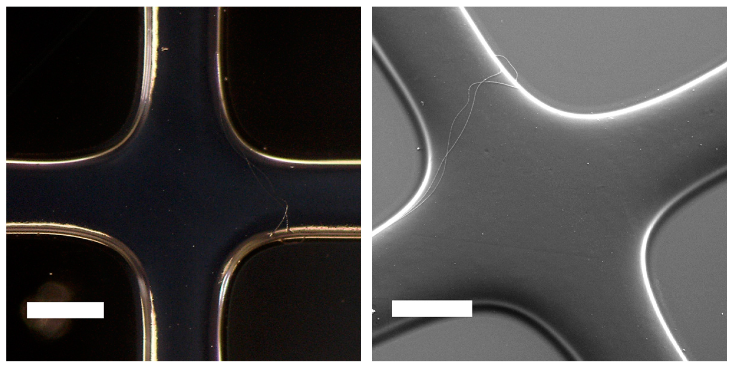 Micromachines 06 01442 g003