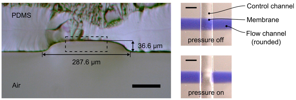 Micromachines 06 01442 g004 1024