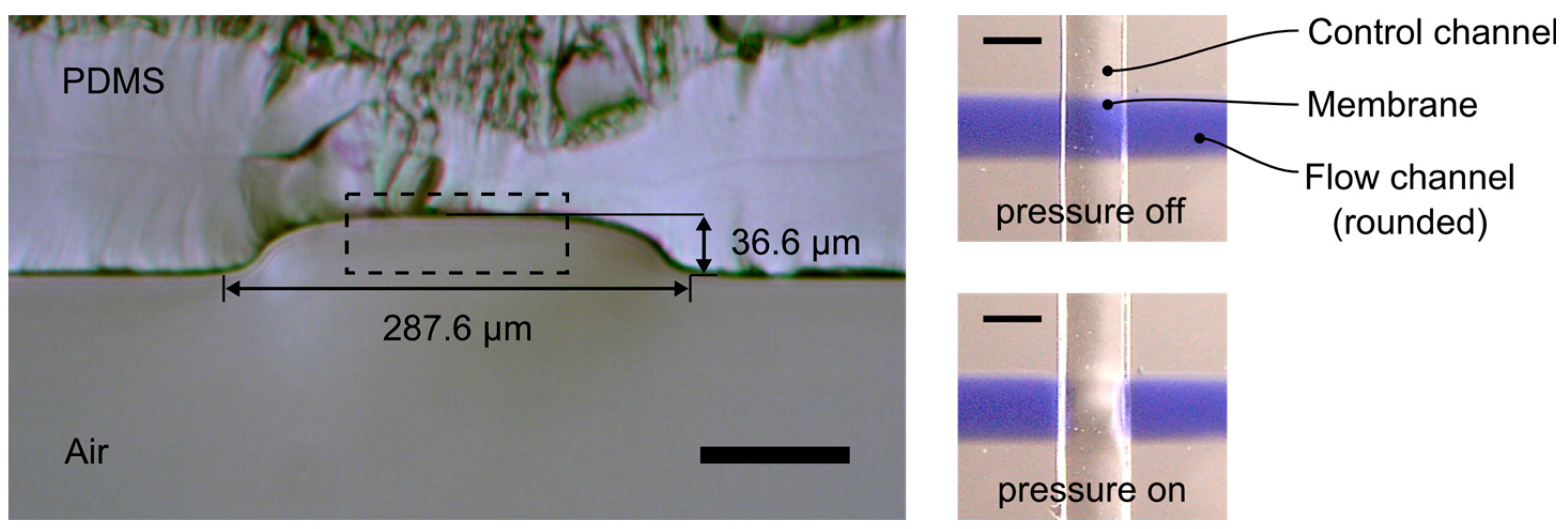 Micromachines 06 01442 g004