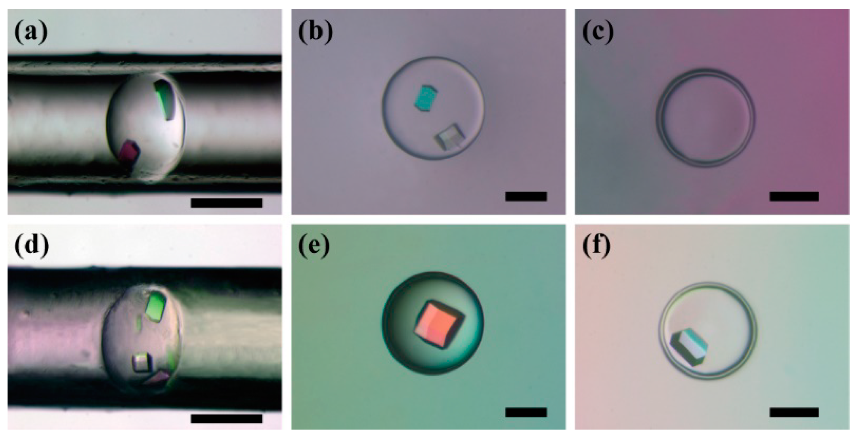 Micromachines 06 01446 g007