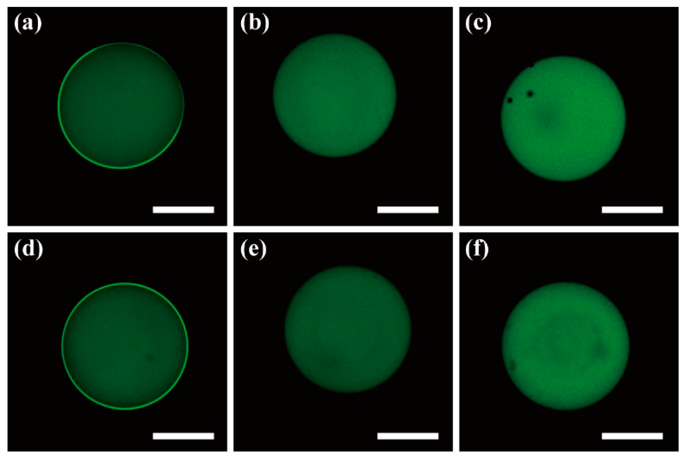Micromachines 06 01446 g008