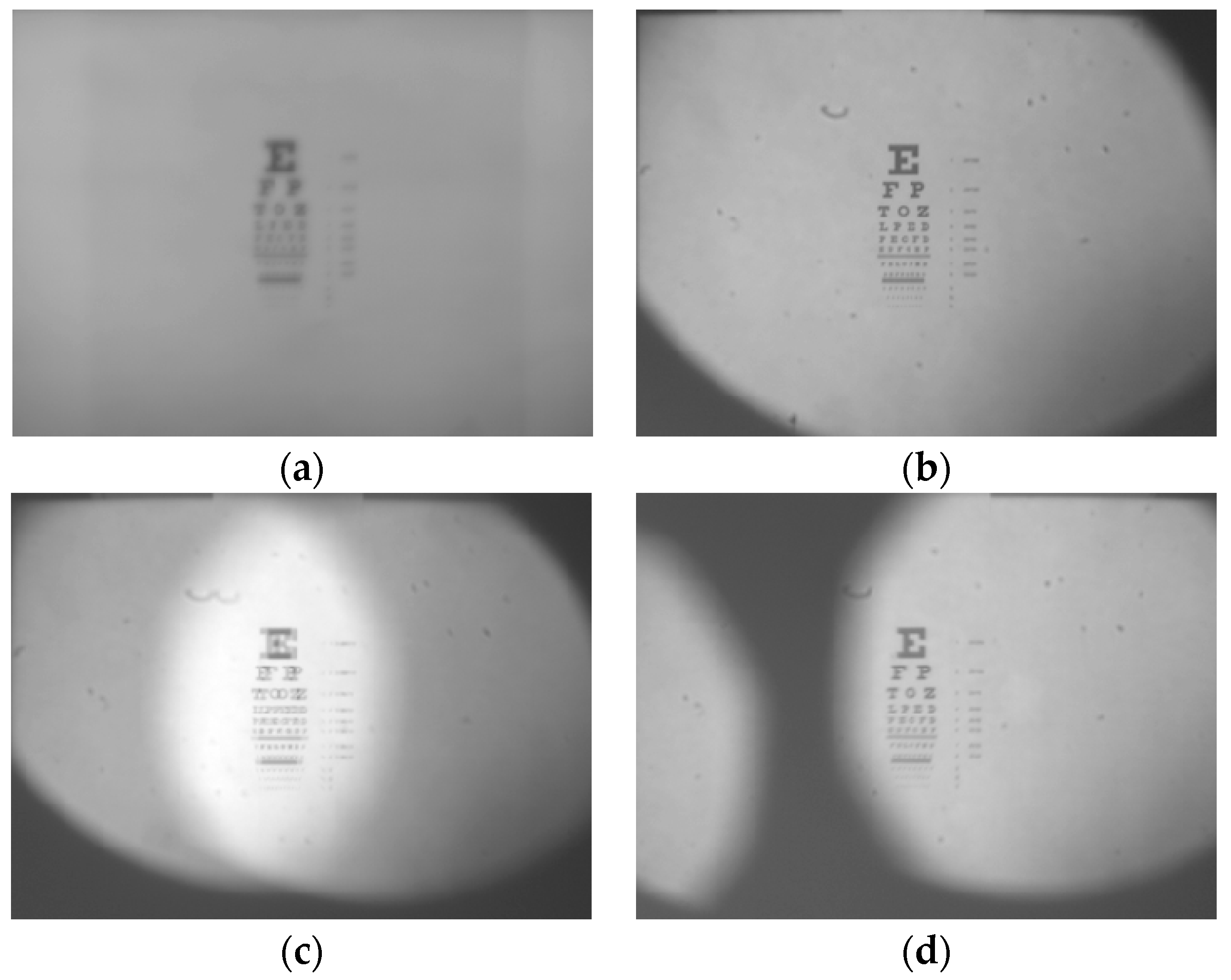 Micromachines 06 01449 g018