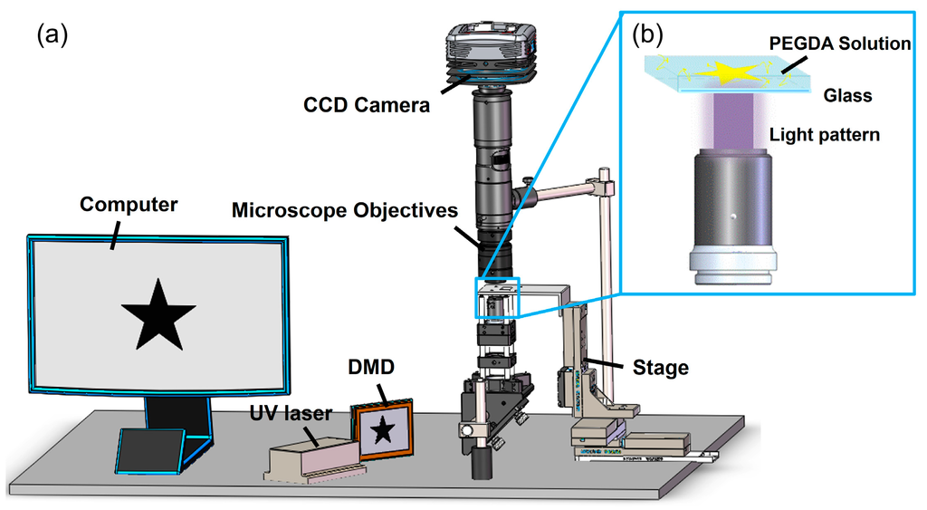 Micromachines 06 01464 g001 1024