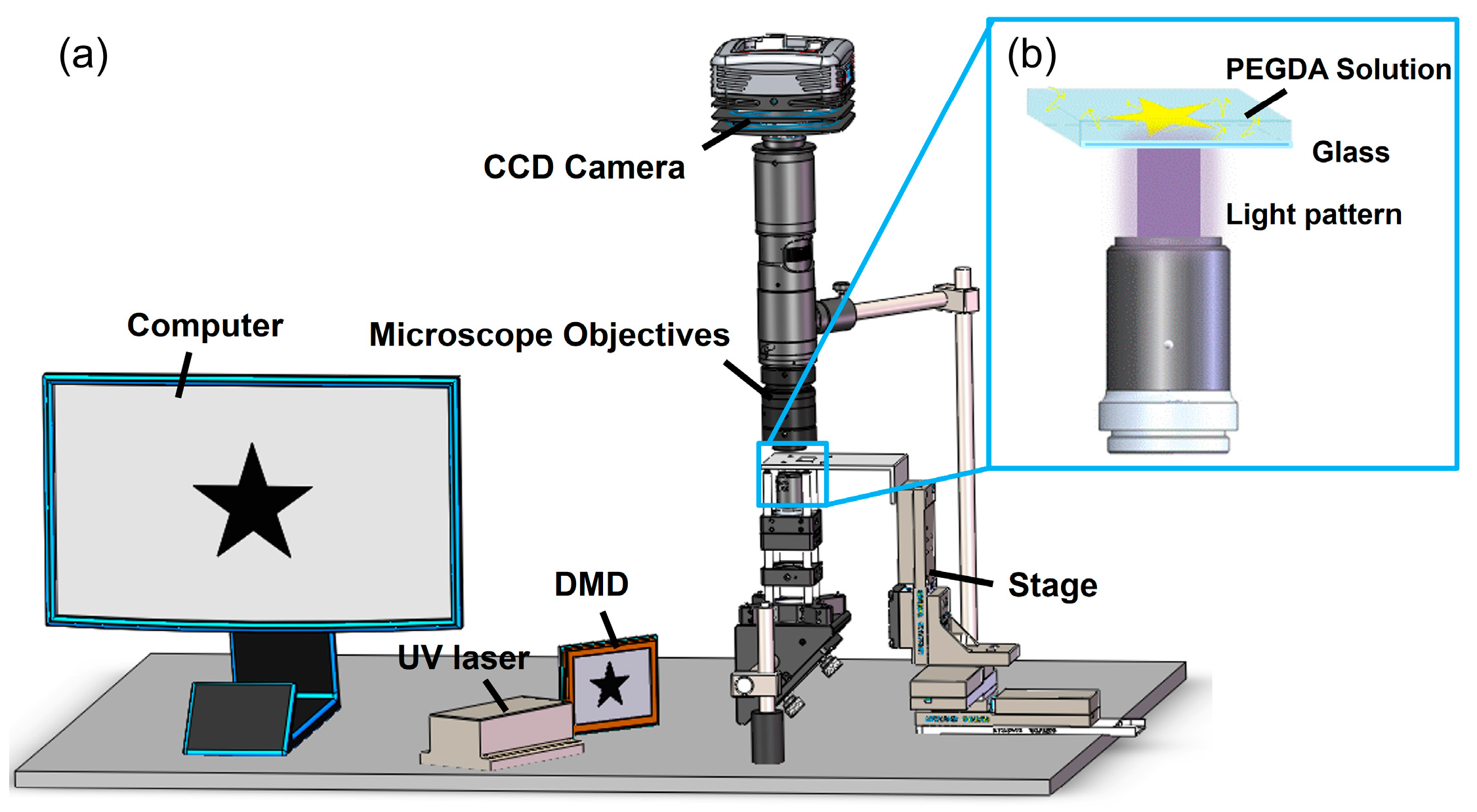 Micromachines 06 01464 g001