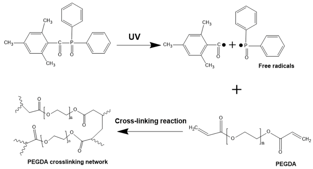 Micromachines 06 01464 g002 1024