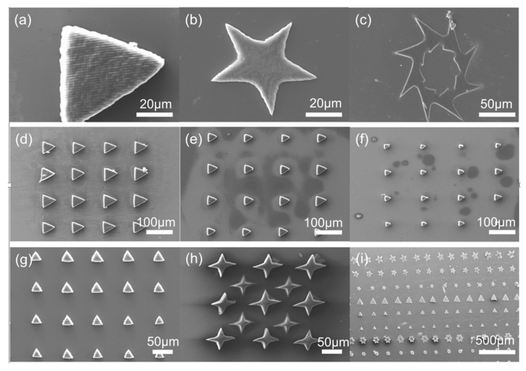Micromachines 06 01464 g003 1024