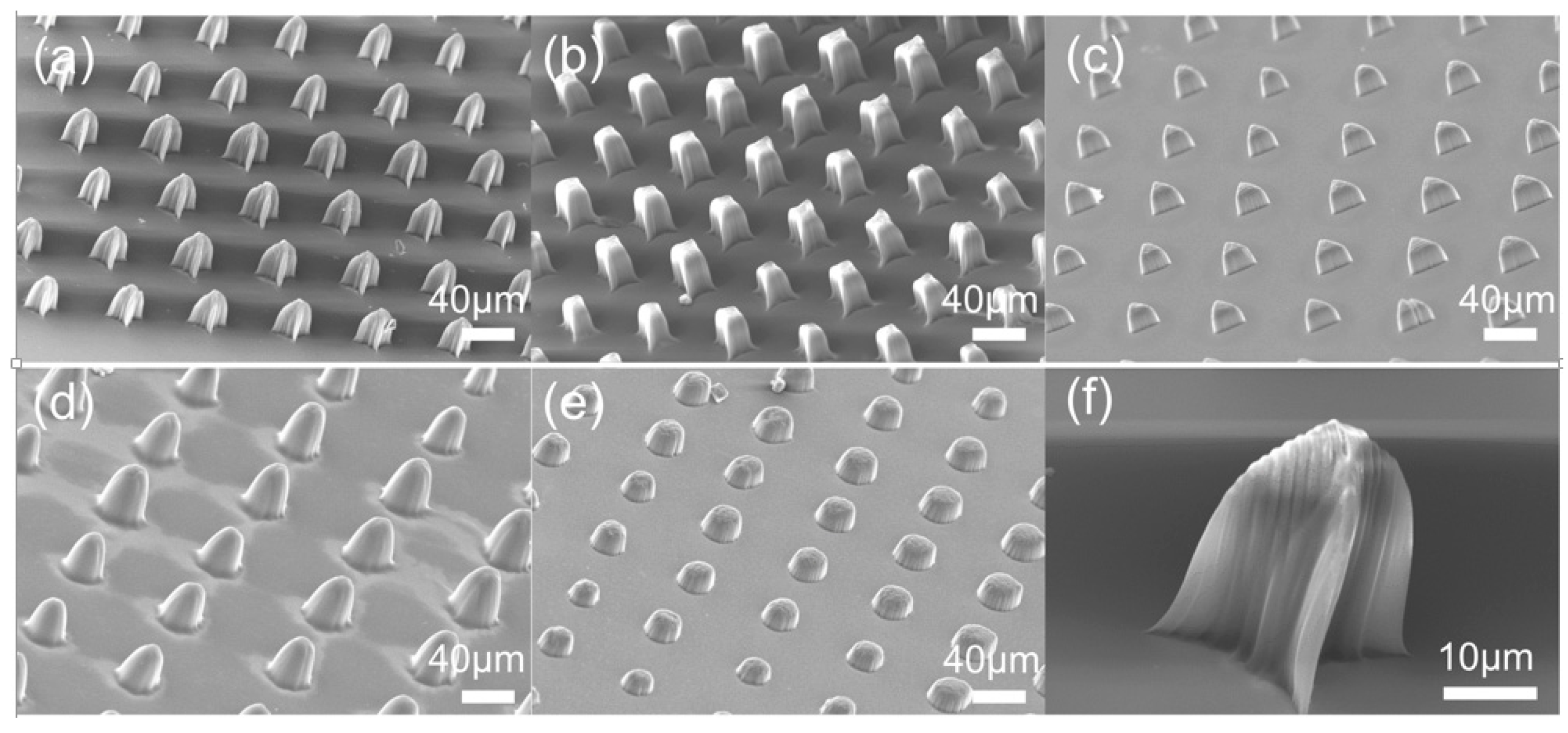Micromachines 06 01464 g005