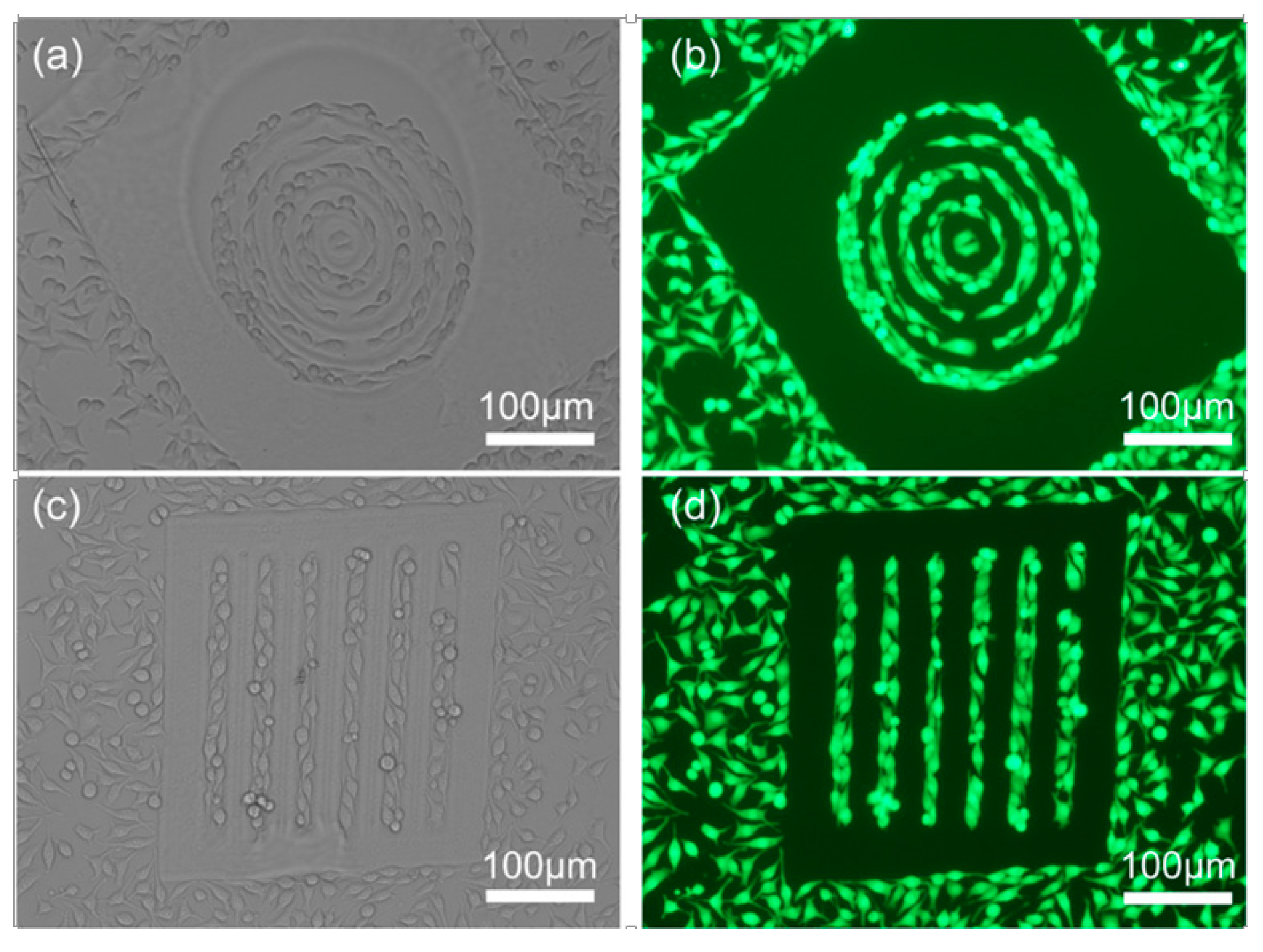 Micromachines 06 01464 g007