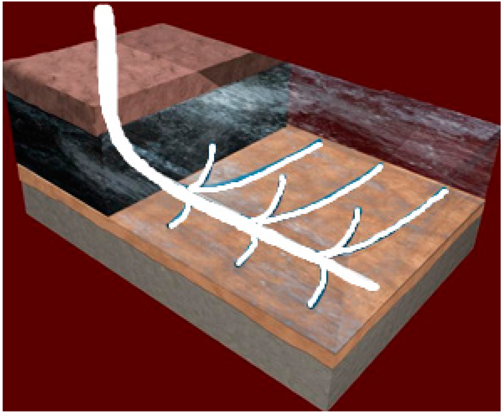 Micromachines 06 01467 g001 1024