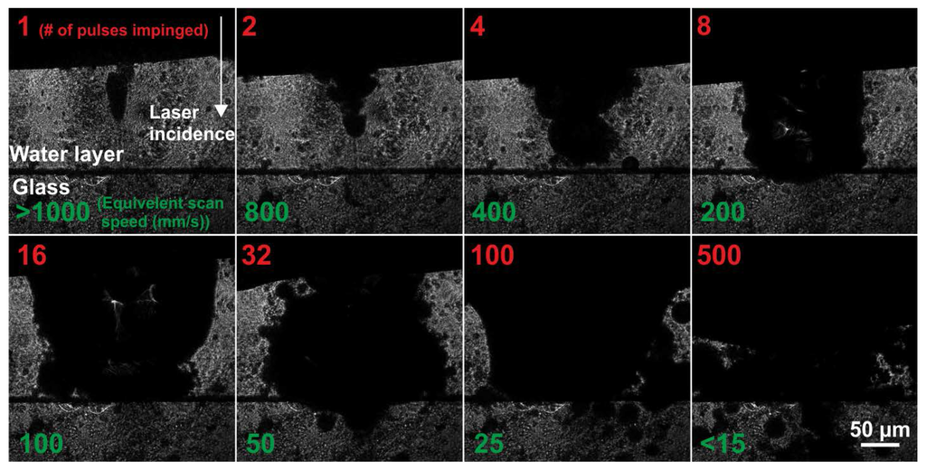 Micromachines 06 01471 g008 1024