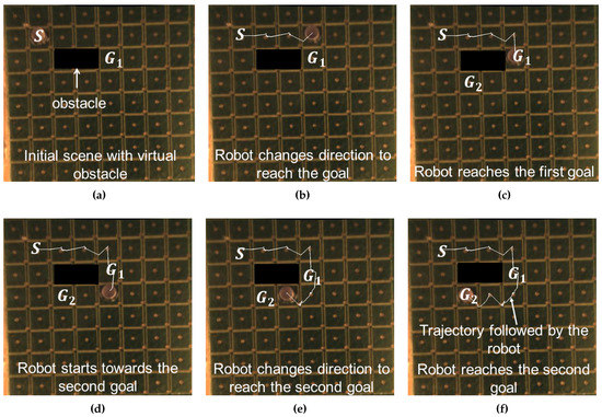 Micromachines 07 00003 g007 550