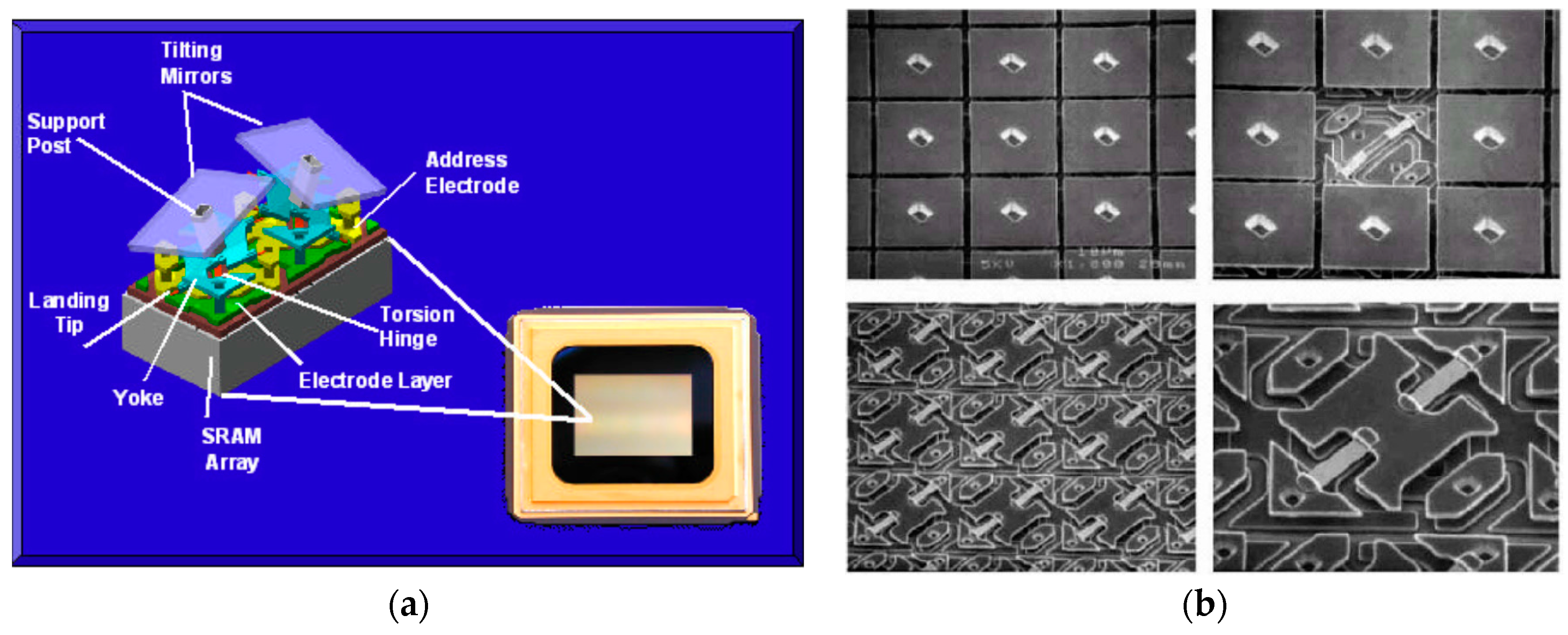 Micromachines 07 00014 g004