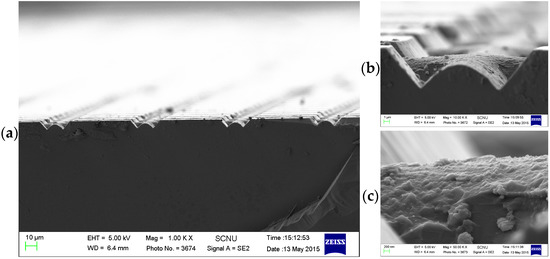 Micromachines 07 00019 g002 550