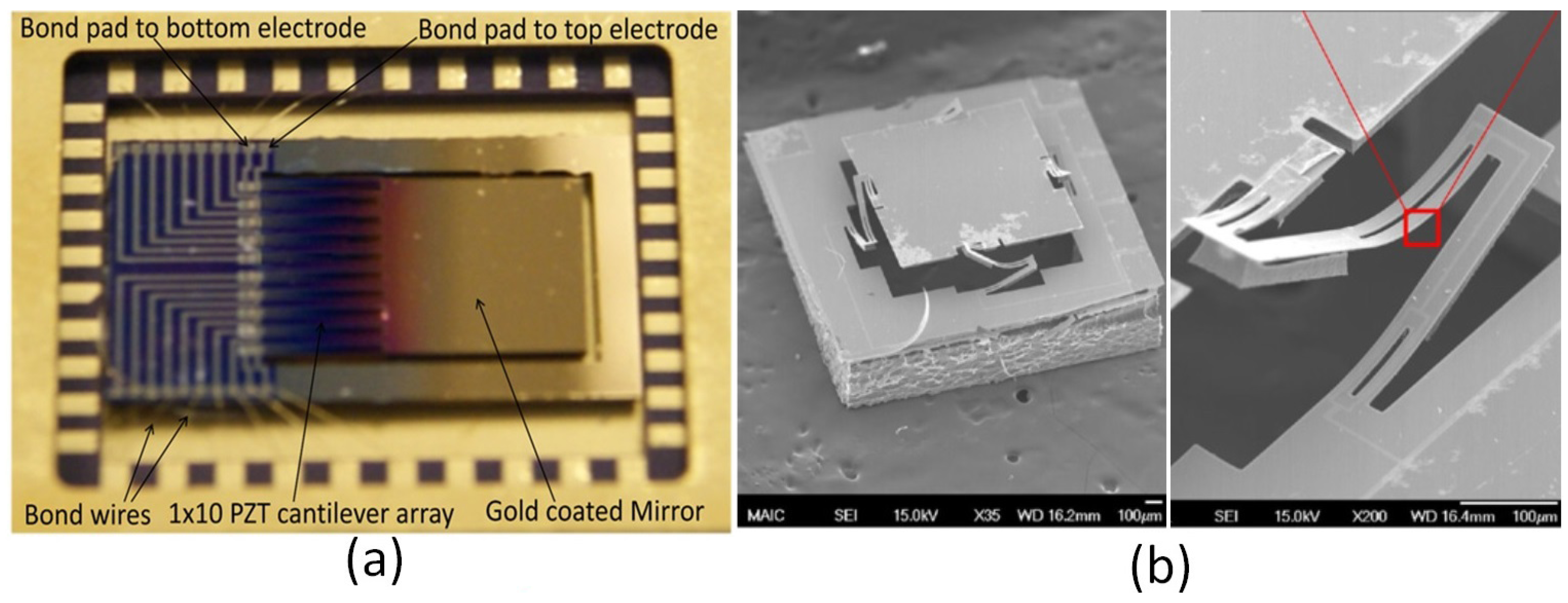 Micromachines 07 00024 g003