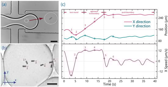 Micromachines 07 00025 g002 550