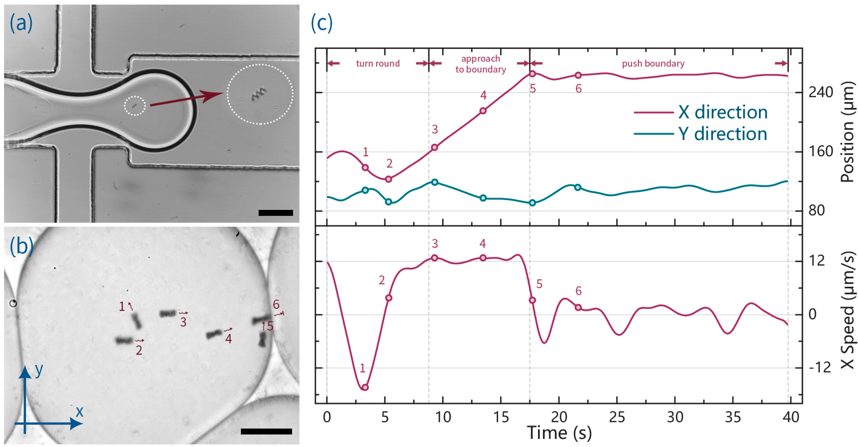 Micromachines 07 00025 g002