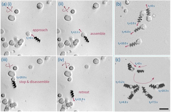 Micromachines 07 00025 g006 550