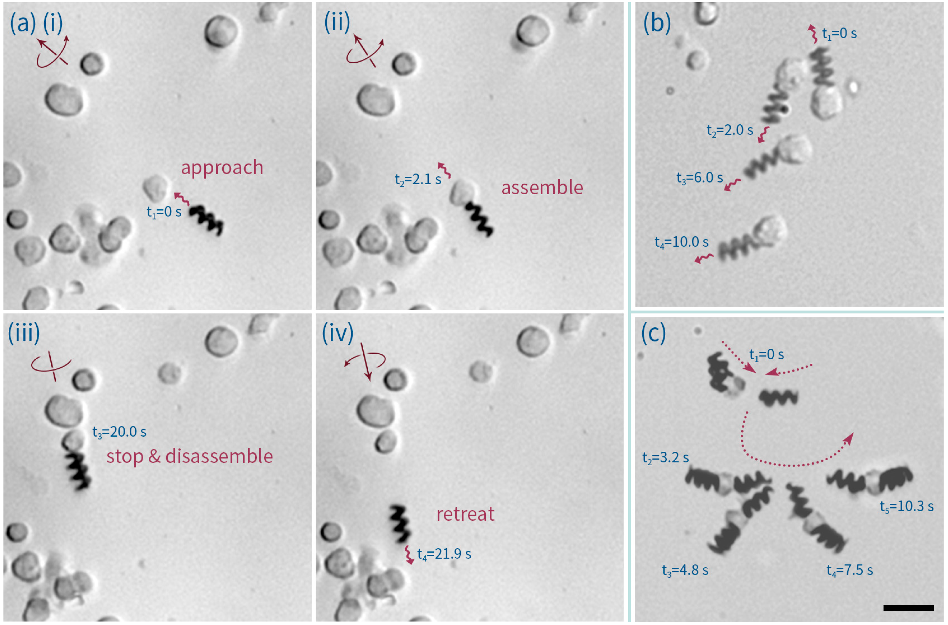 Micromachines 07 00025 g006