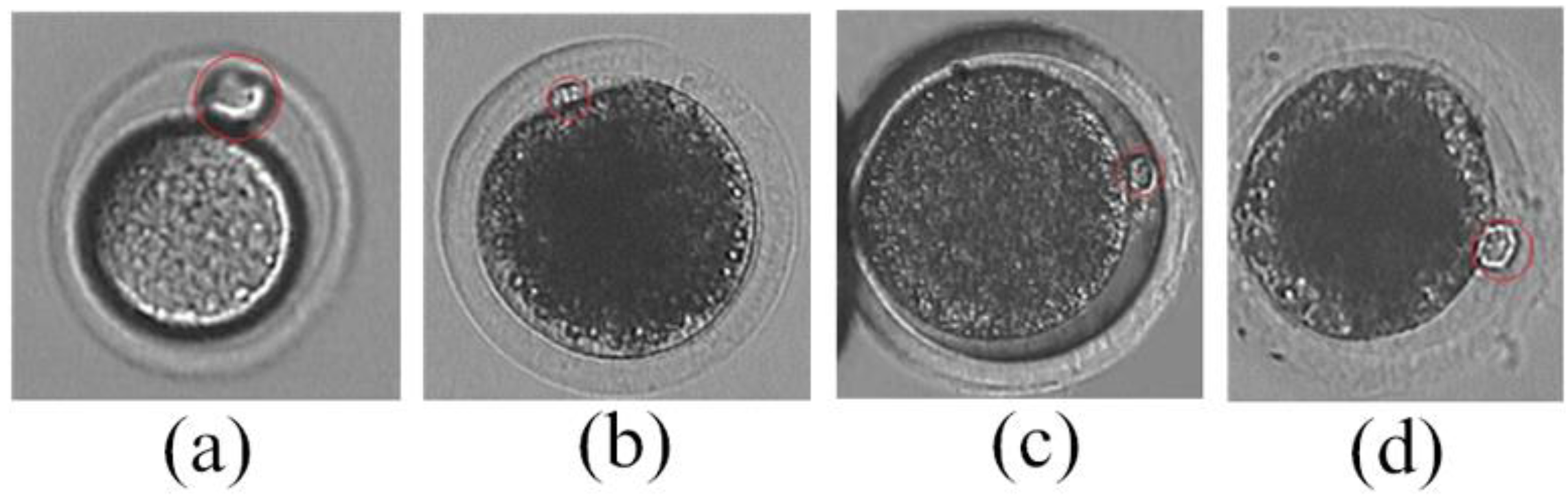 Micromachines 07 00027 g001