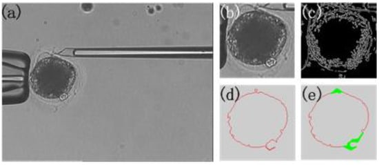 Micromachines 07 00027 g008 550