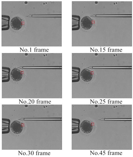 Micromachines 07 00027 g010 550