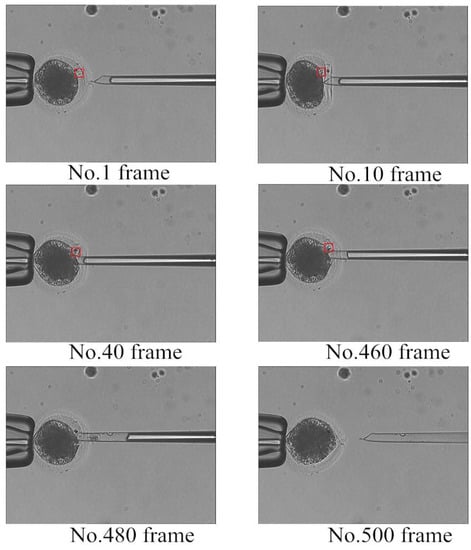 Micromachines 07 00027 g011 550