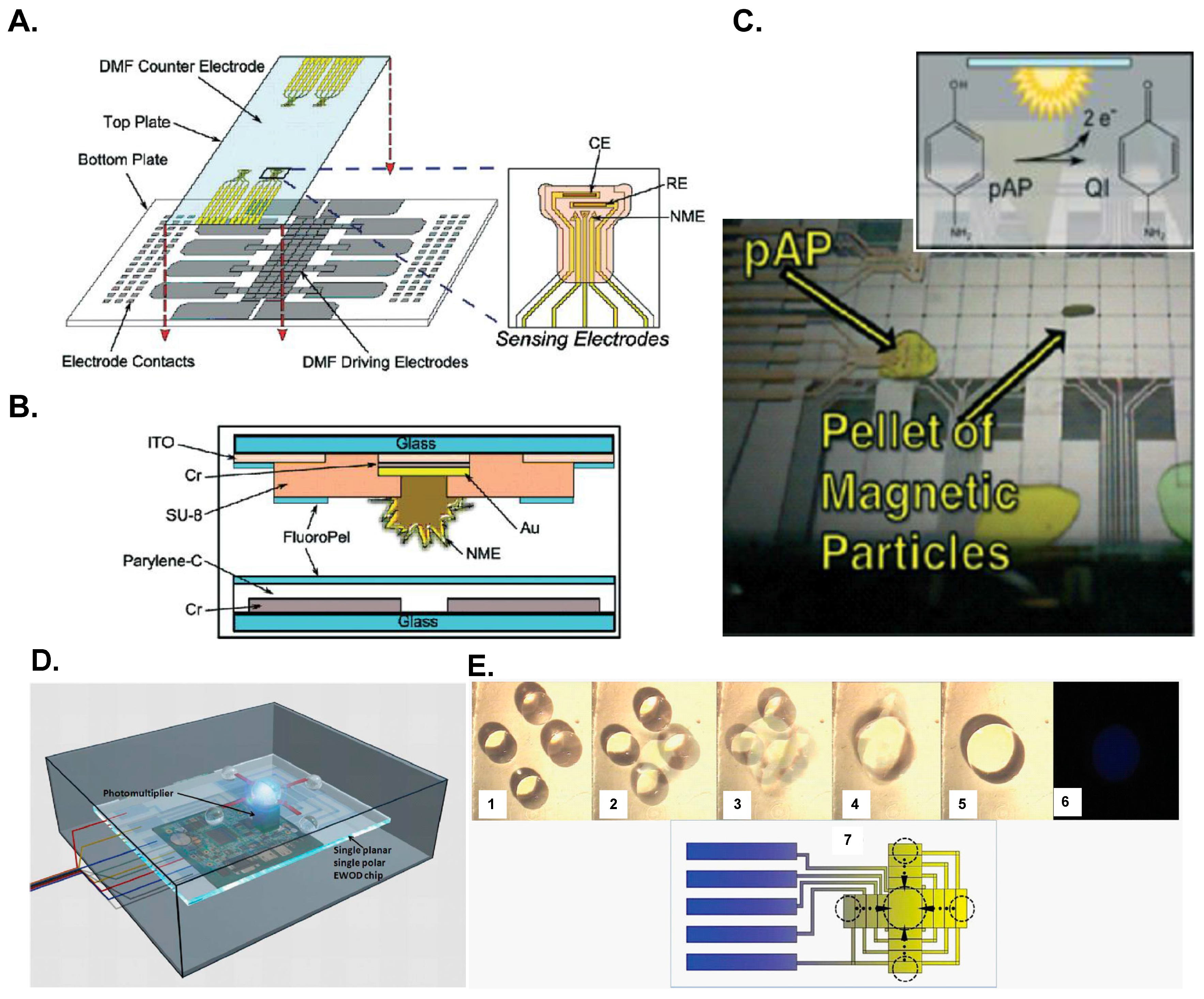 Micromachines 07 00029 g006