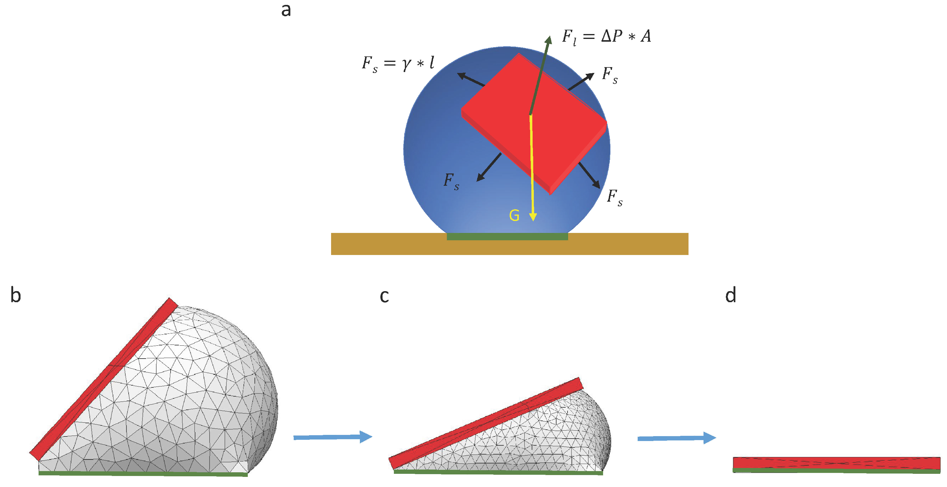 Micromachines 07 00041 g005