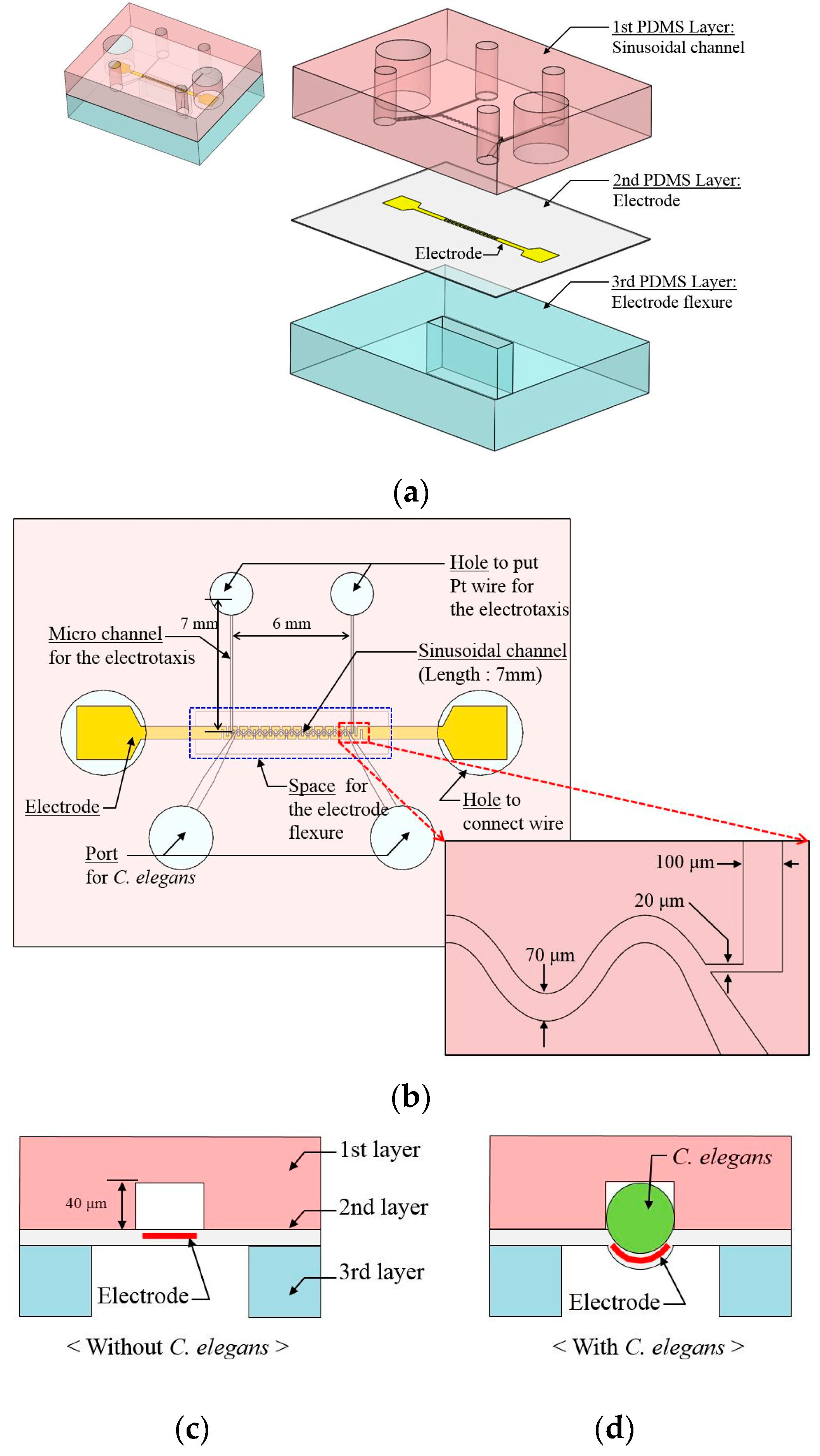 Micromachines 07 00050 g001