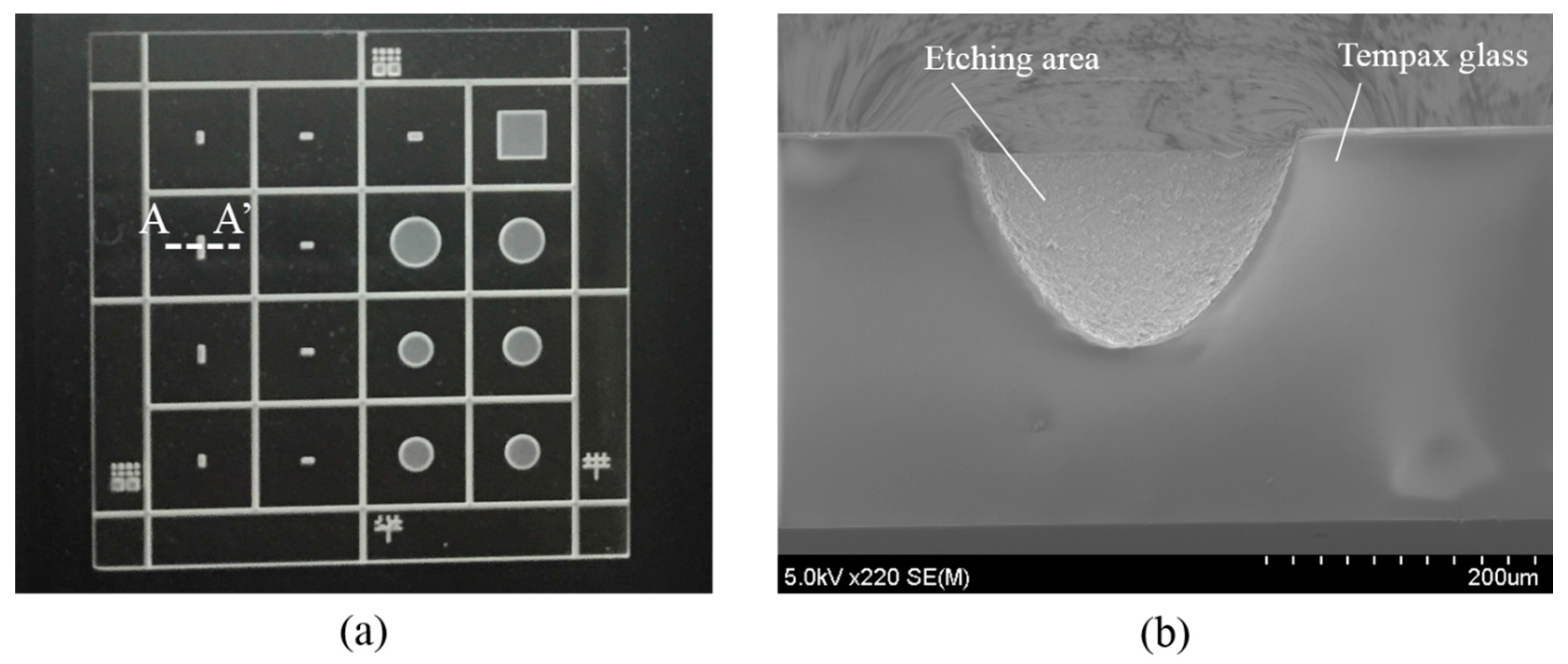 Micromachines 07 00051 g003