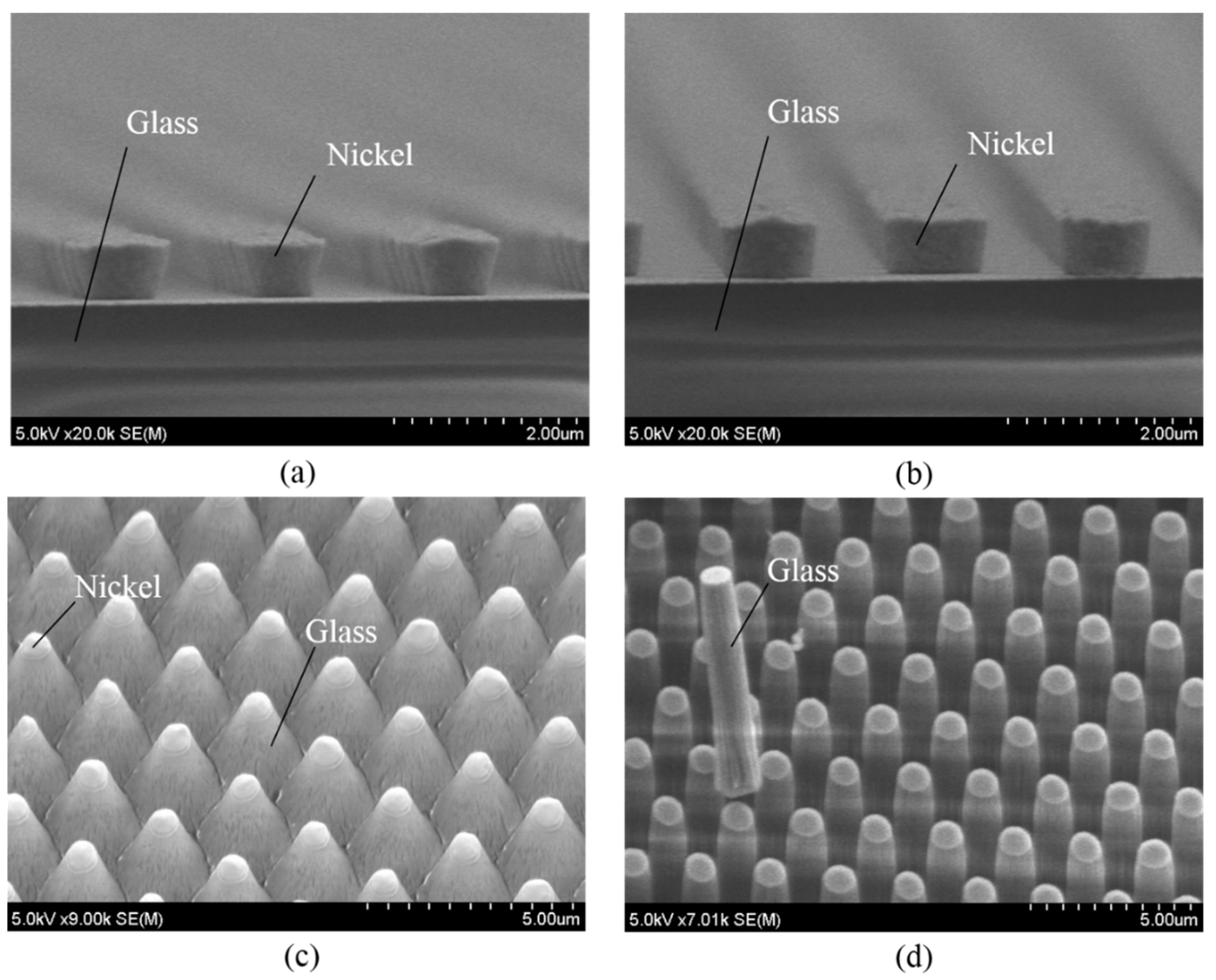 Micromachines 07 00051 g007