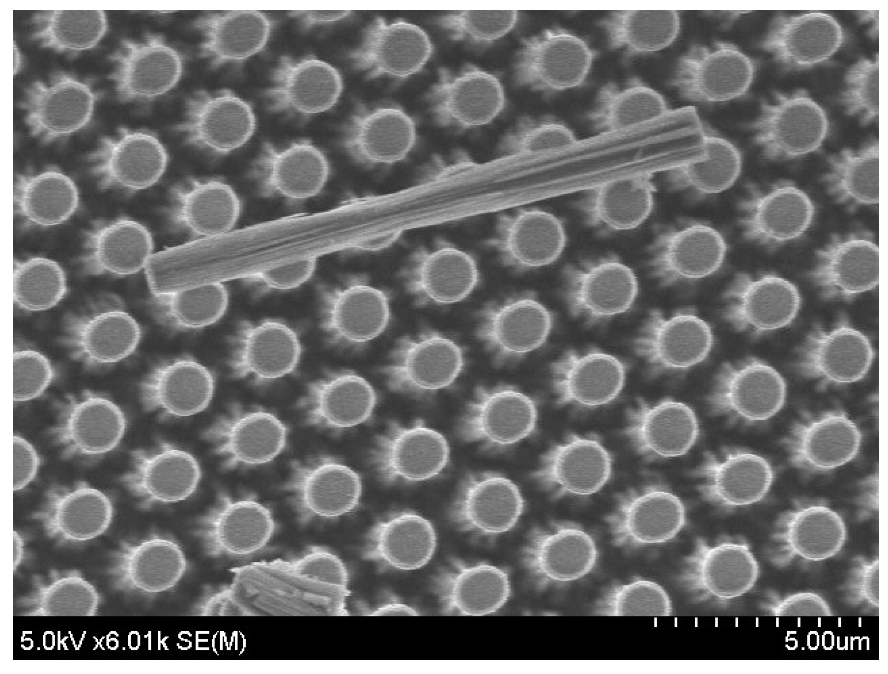 Micromachines 07 00051 g009