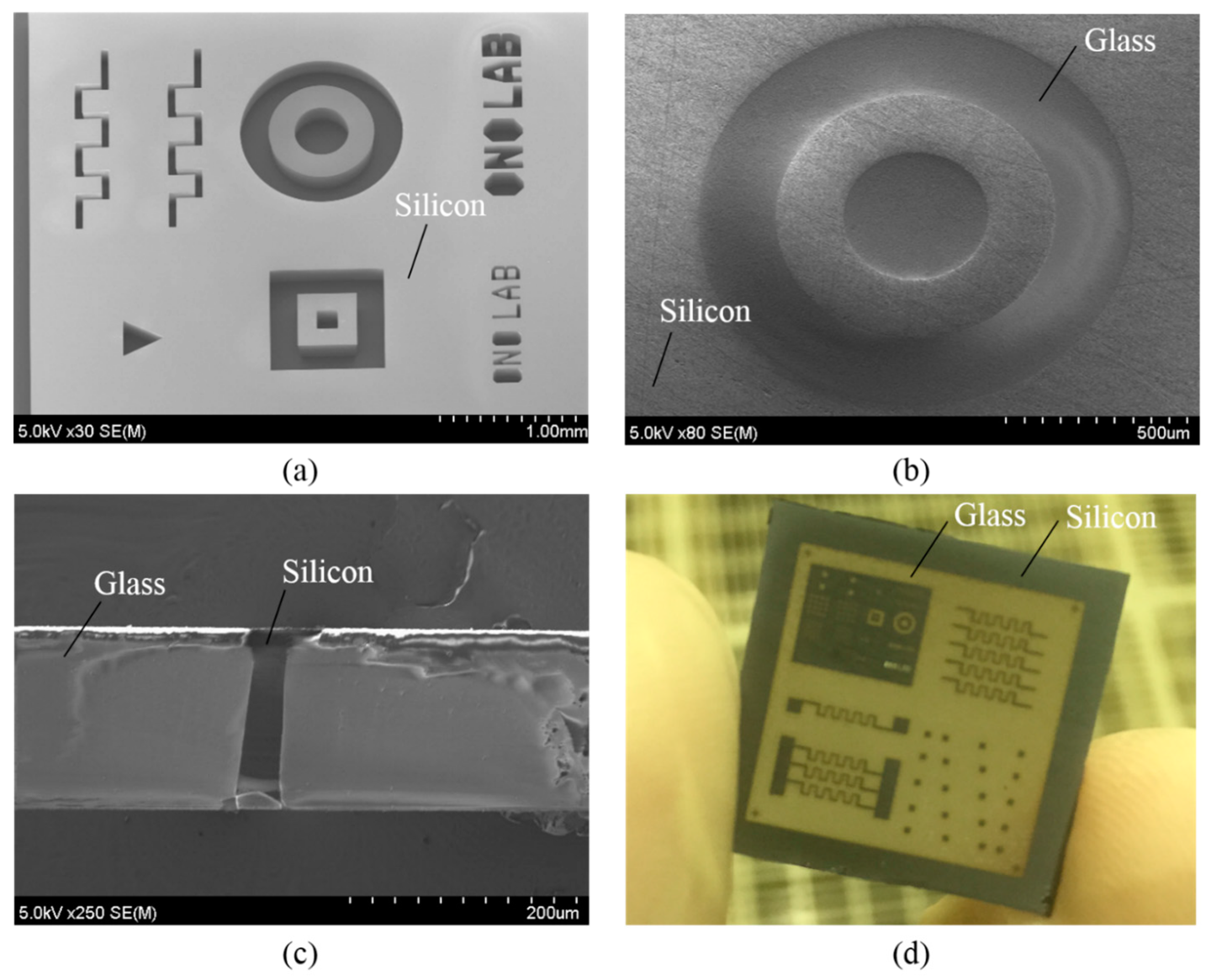 Micromachines 07 00051 g011