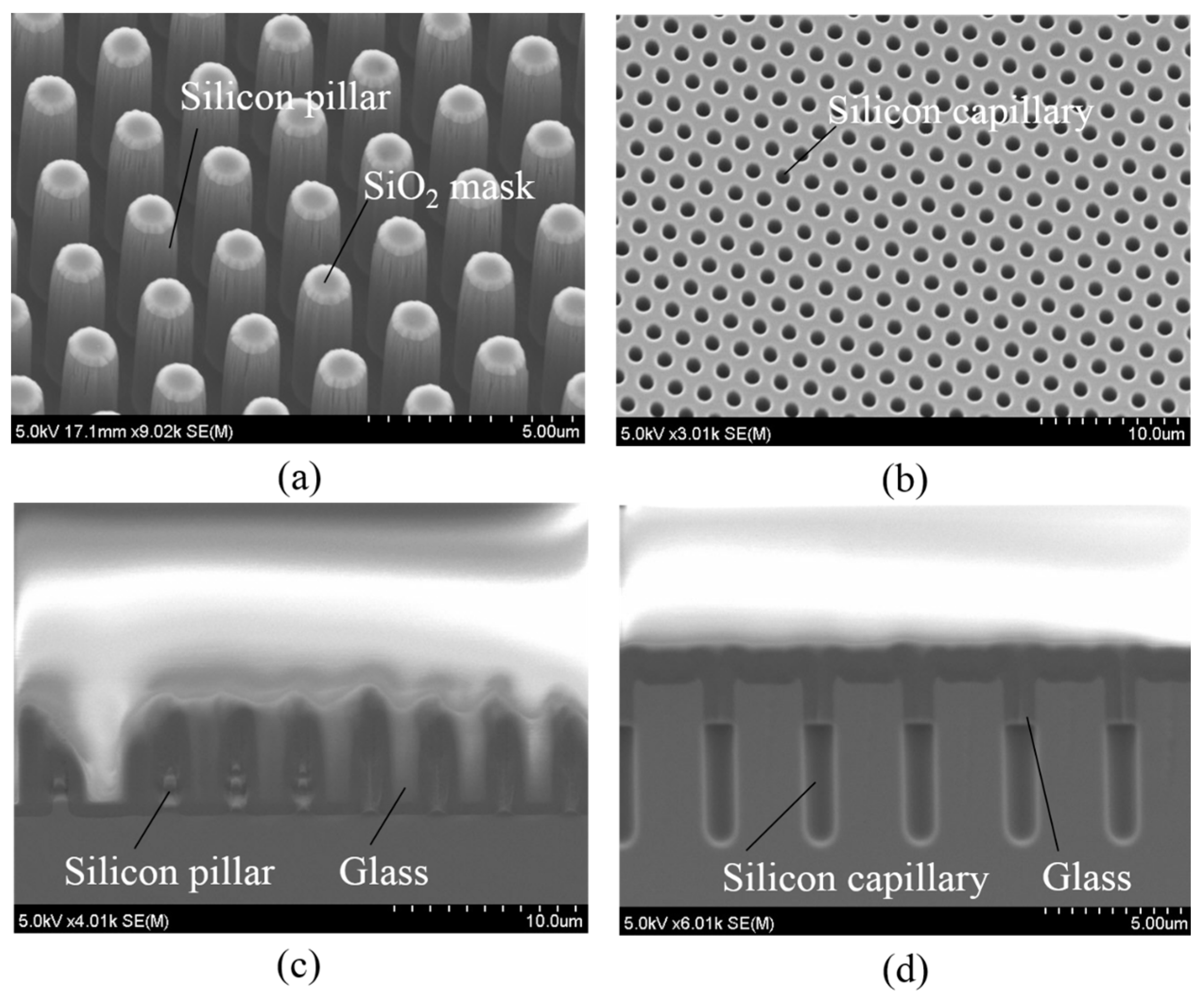 Micromachines 07 00051 g012