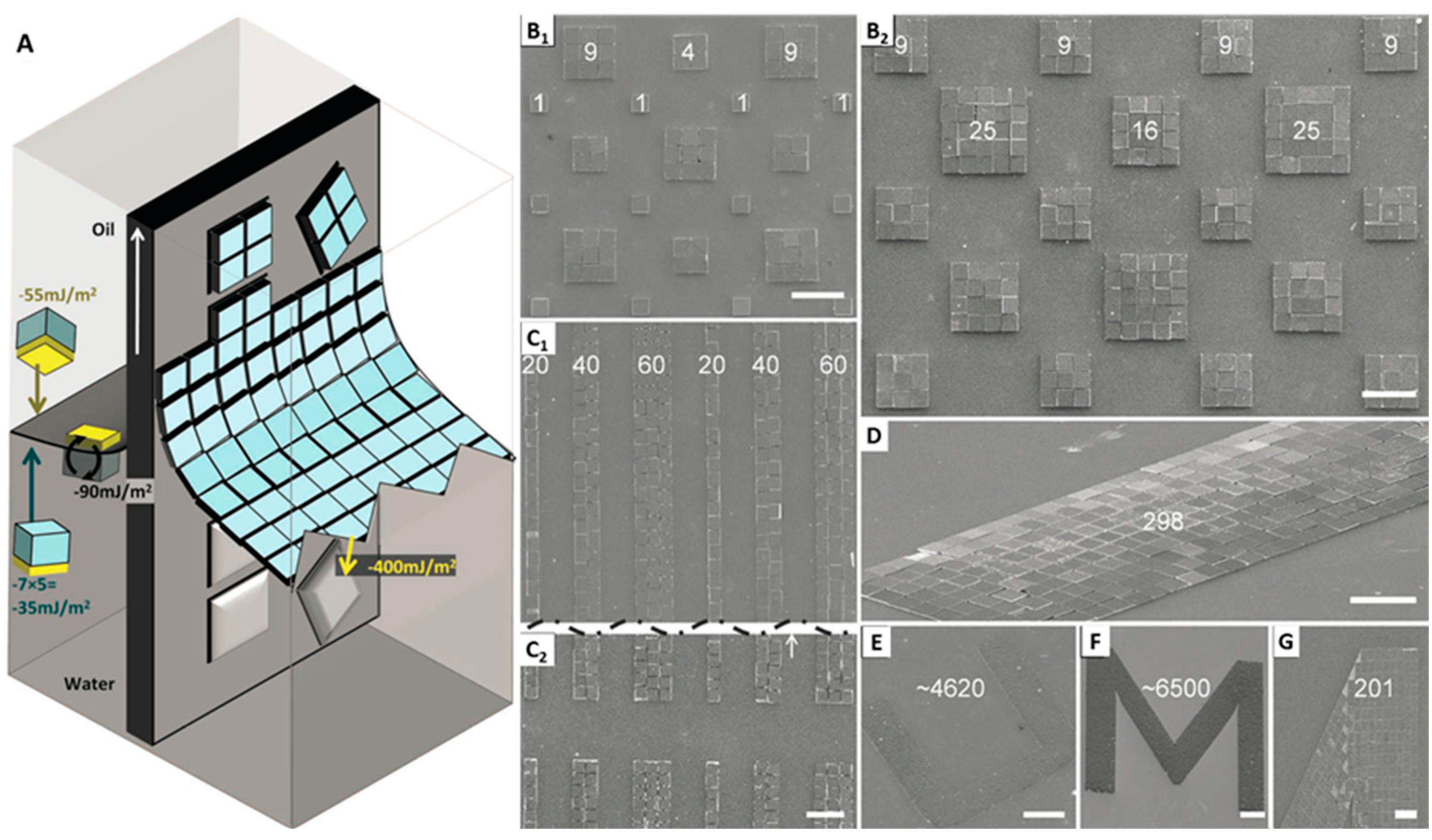 Micromachines 07 00054 g005