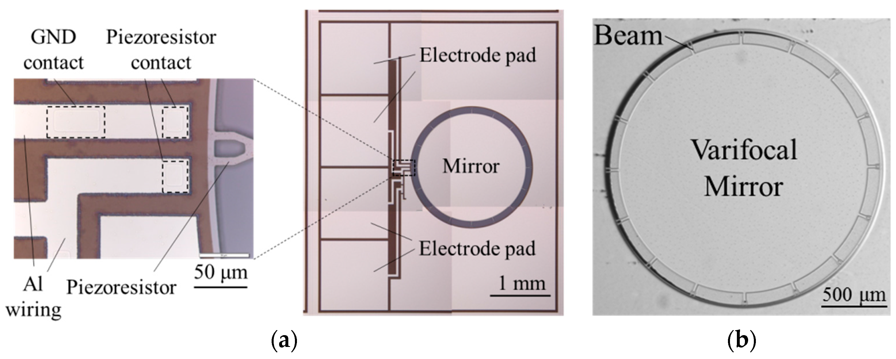 Micromachines 07 00057 g007