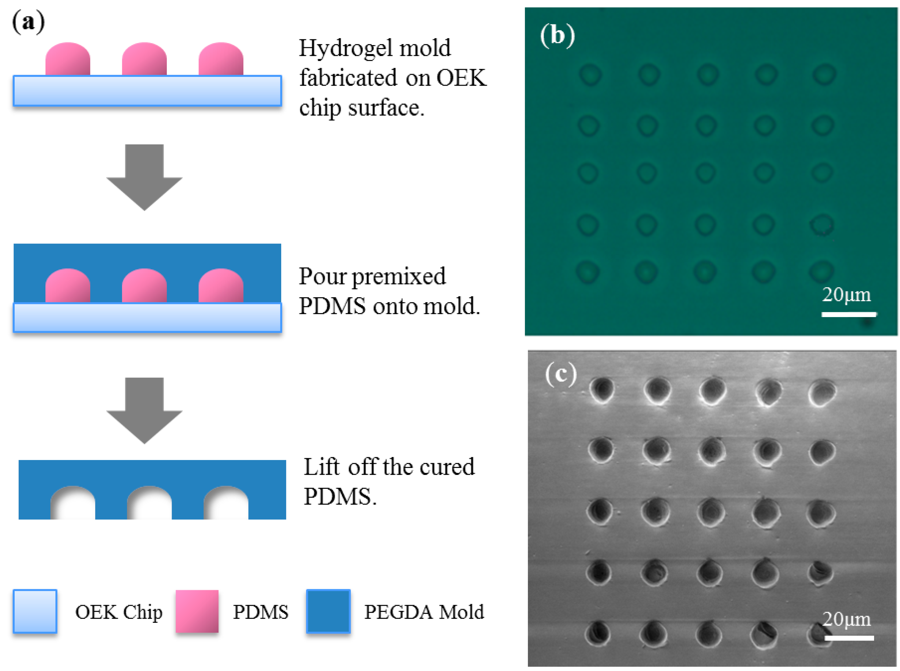 Micromachines 07 00065 g004