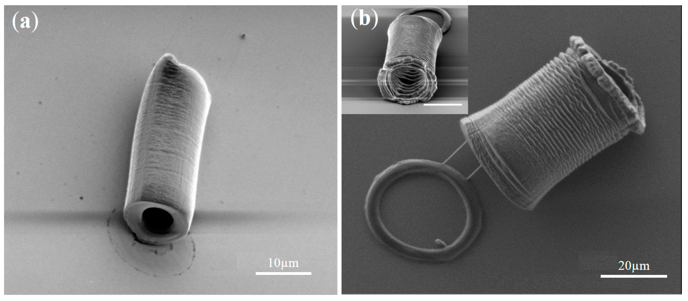 Micromachines 07 00065 g005