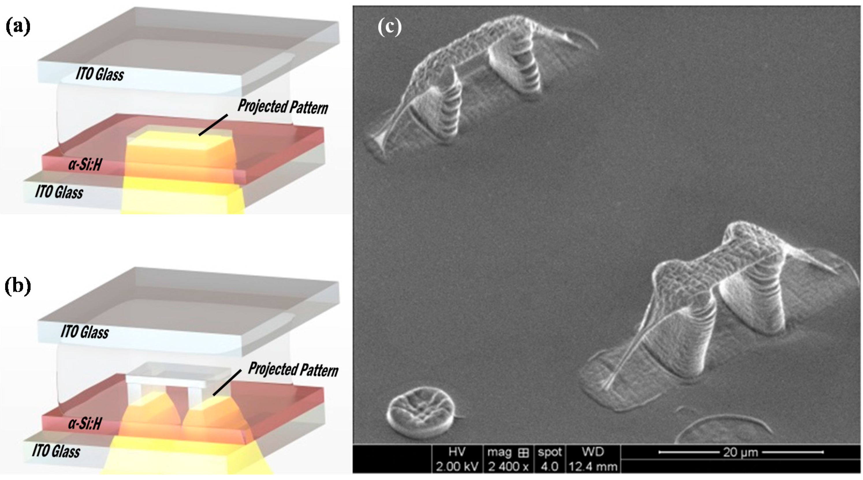 Micromachines 07 00065 g007