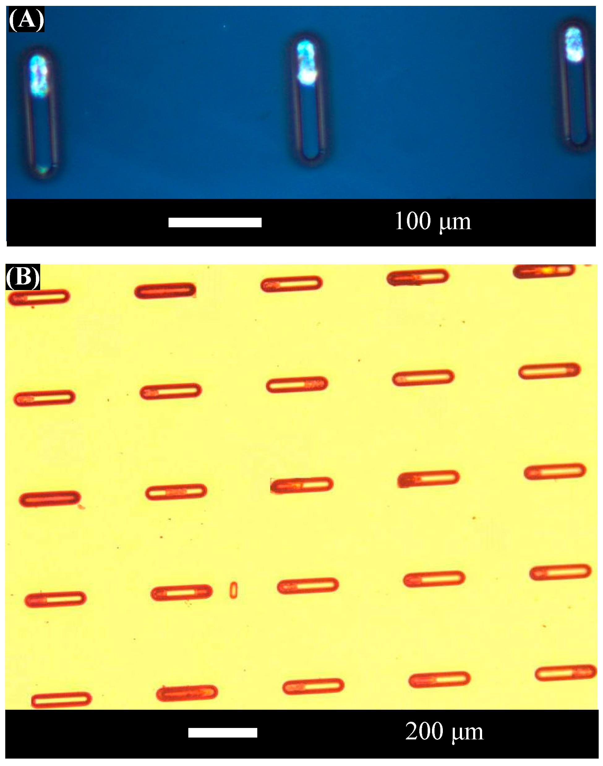 Micromachines 07 00068 g006