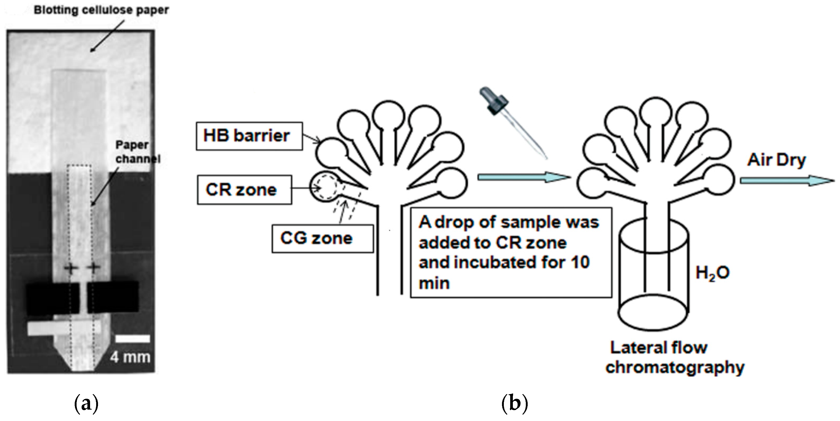 Micromachines 07 00086 g005