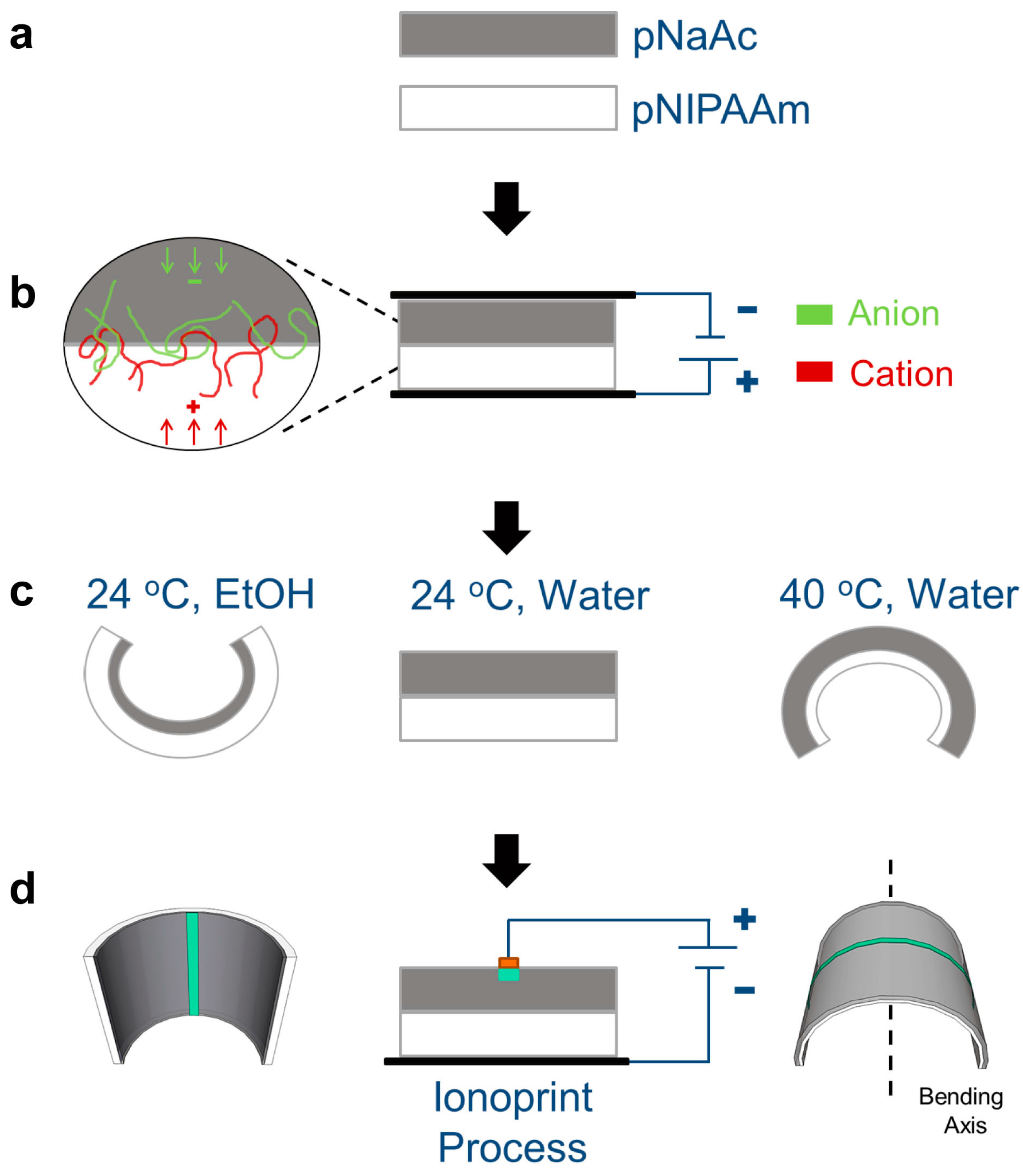 Micromachines 07 00098 g001
