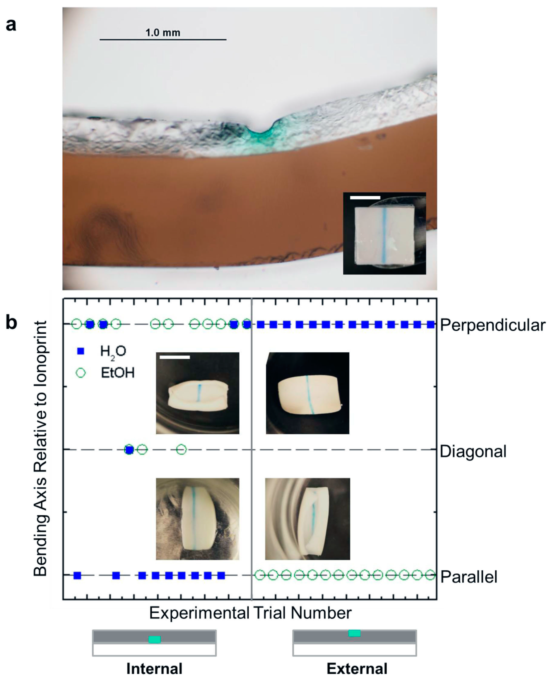 Micromachines 07 00098 g004