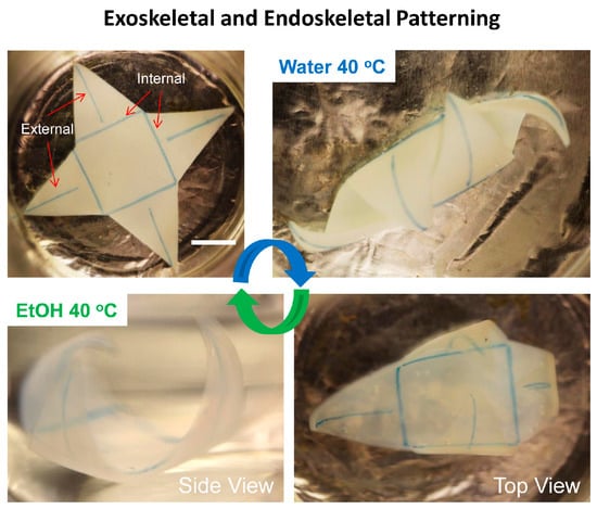 Micromachines 07 00098 g007 550