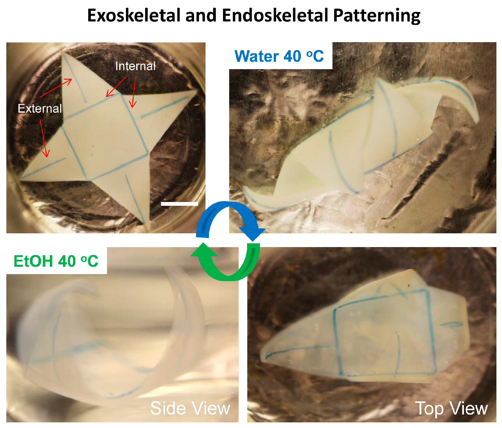 Micromachines 07 00098 g007