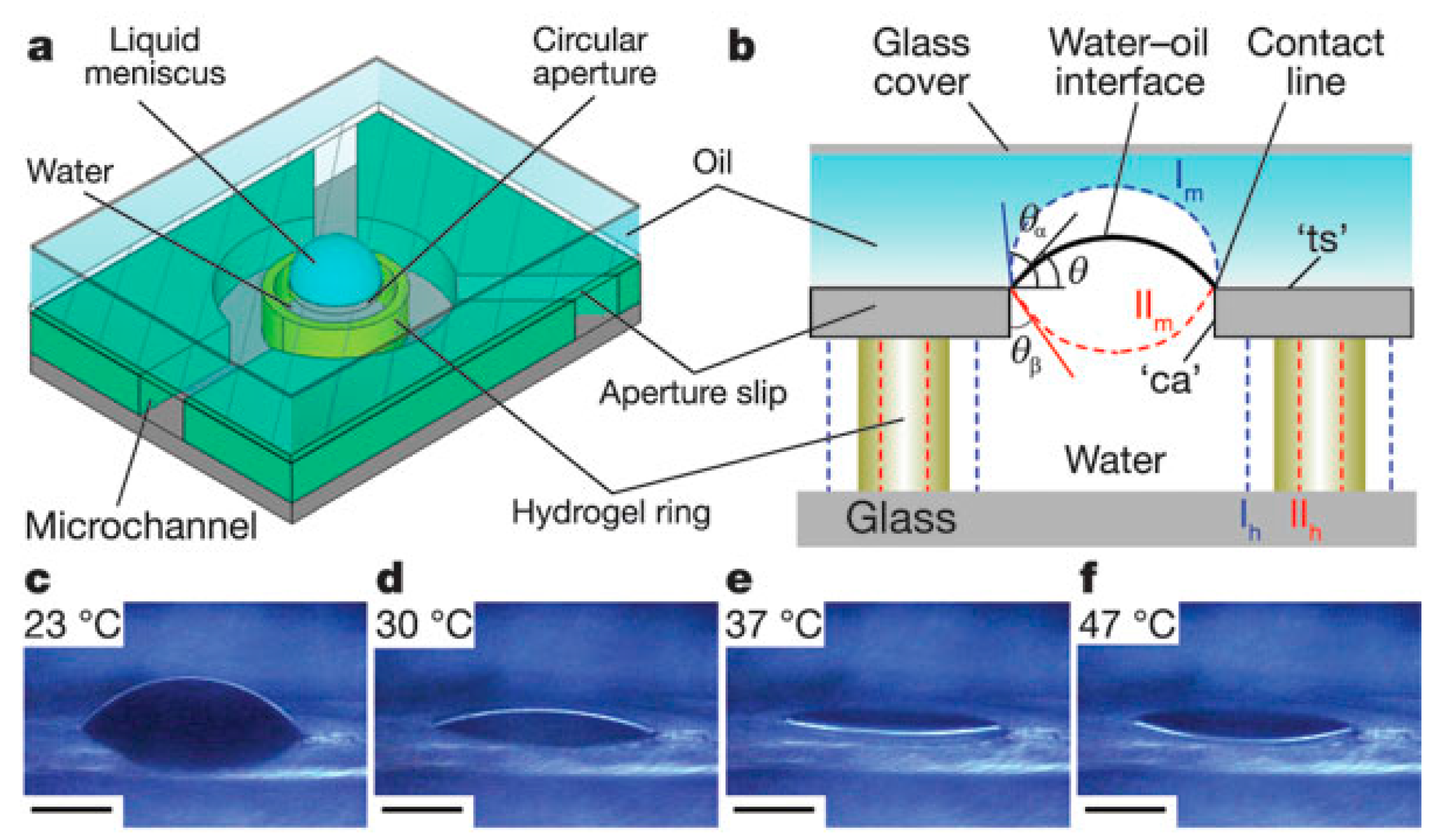 Micromachines 07 00102 g003