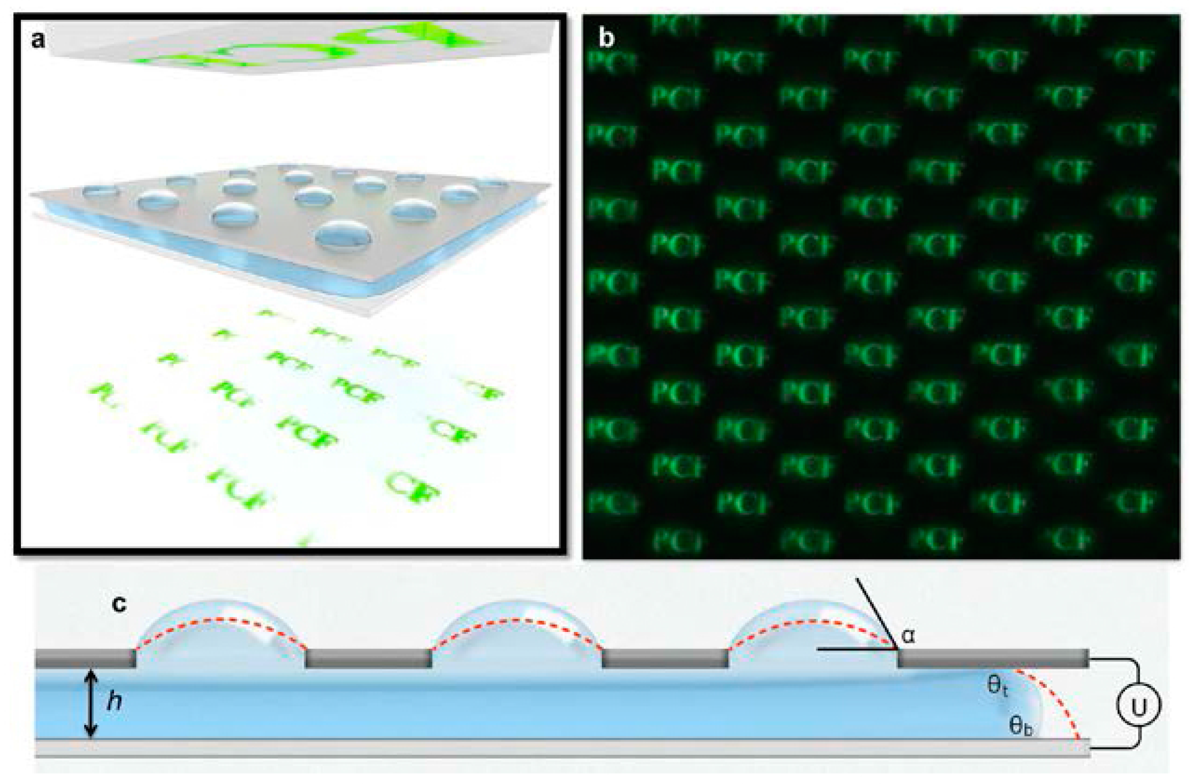 Micromachines 07 00102 g006