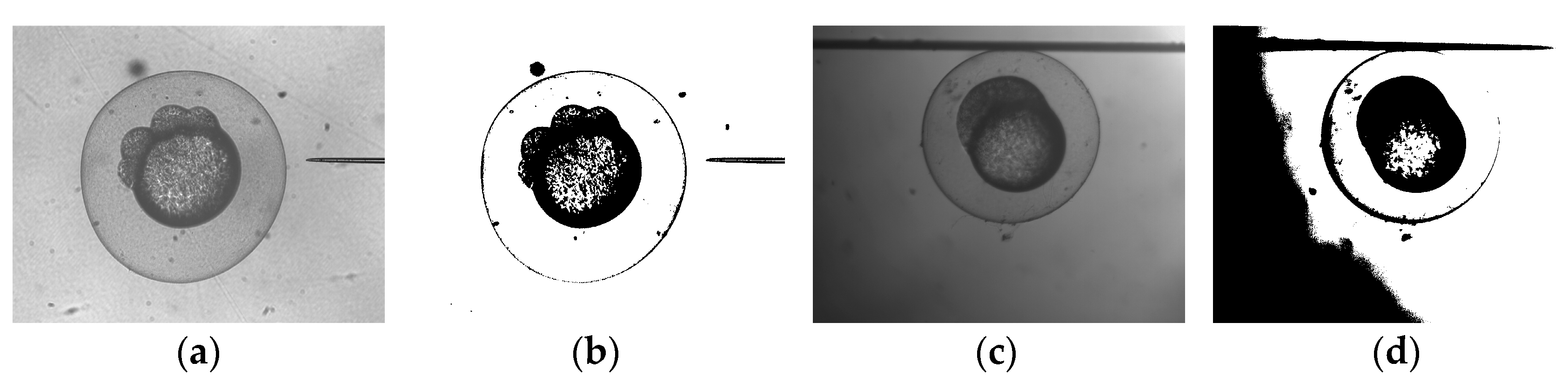 Micromachines 07 00104 g007