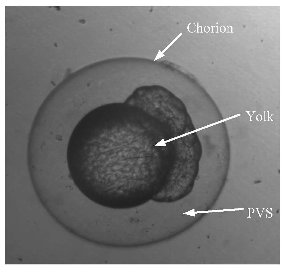Micromachines 07 00104 g011